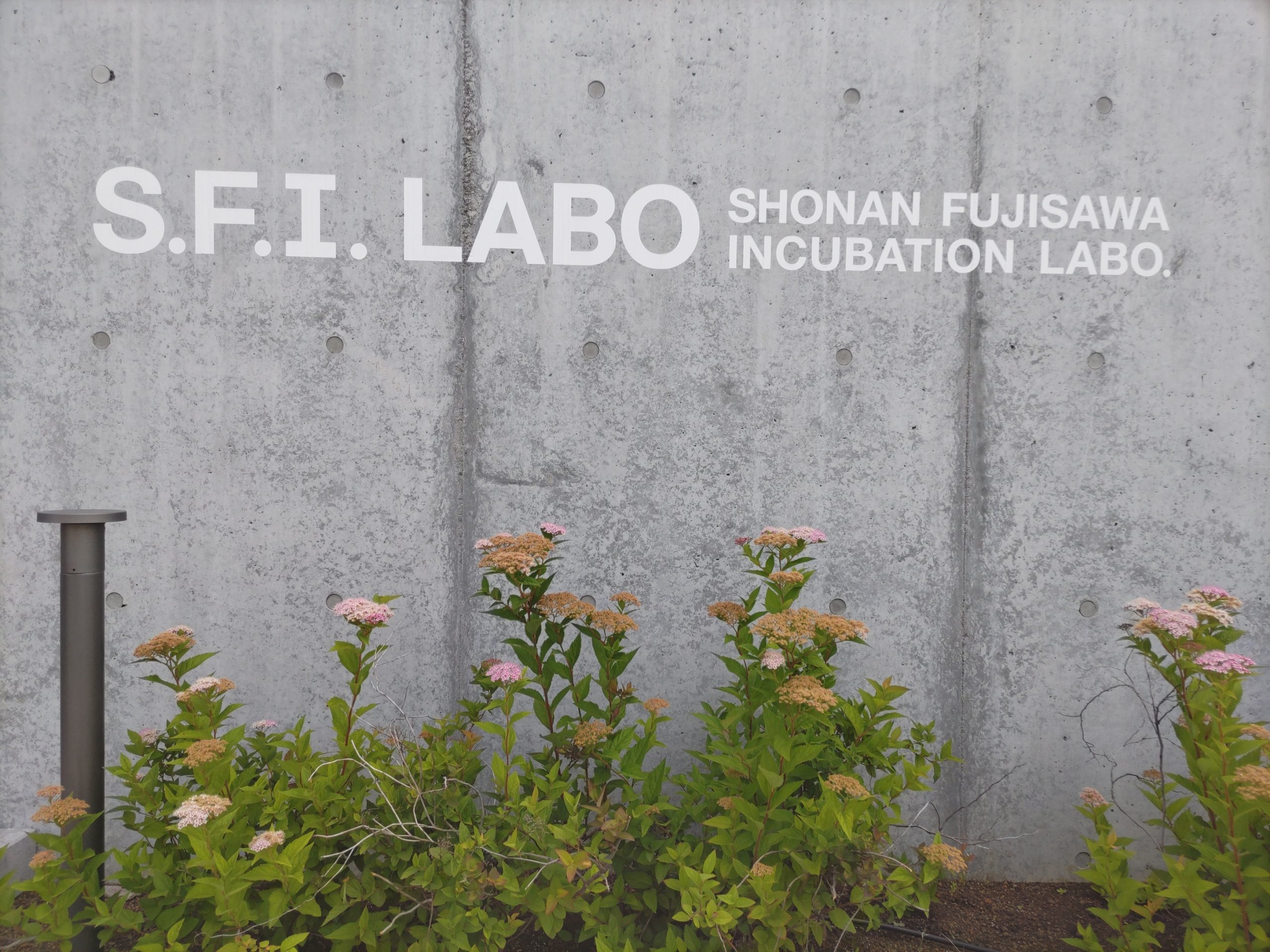 ６月６日（木）おでかけ報告Vol.９